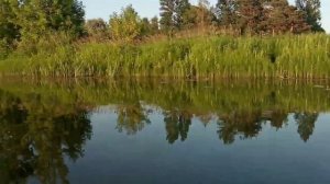 каяк инзер М350 НД с мотором сеа про 2,6.