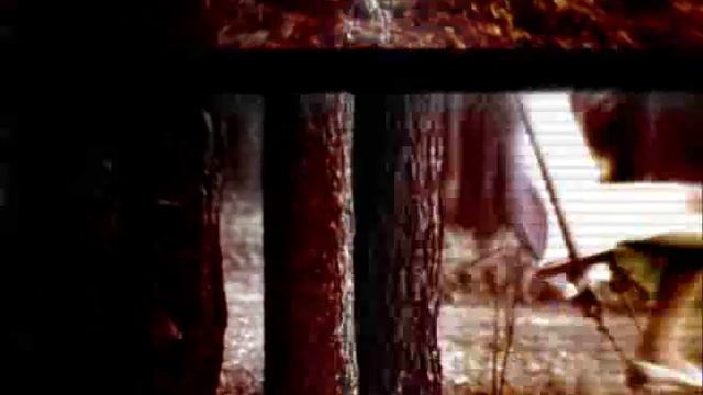 оприход - педобир (oprihod - pedobear) смотреть онлайн
