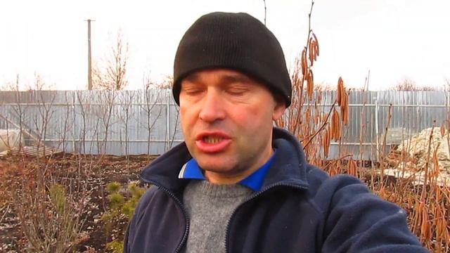 Когда лучше укоренять и высаживать. смотреть онлайн