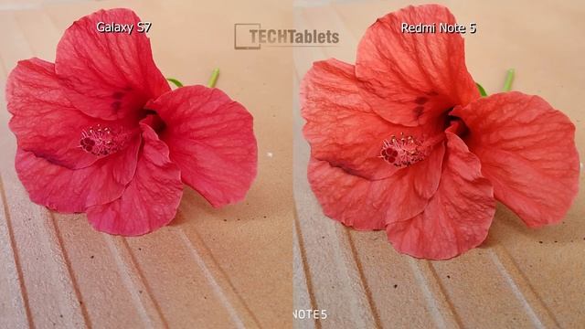 Xiaomi Redmi Note 5 CN Vs Samsung Galaxy S7 Camera Comparison смотреть онлайн