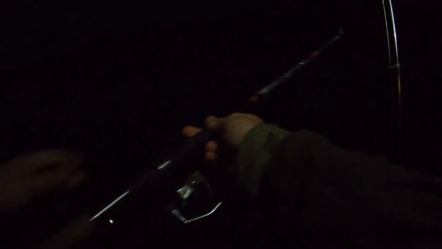 Ночная рыбалка на реке Северский Донец, Каменск-Шахтинский. Карась. Густера. GitUp F1. 1080 50FPS. смотреть онлайн