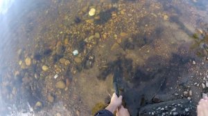 Ловля щуки в черте города, часть №2 . Иркутск, теплые озера.