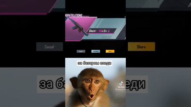 чел выучил язык животных