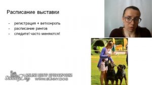 как вести себя на выставке? Как правильно выставить собаку ?.Как подготовить собаку к рингу?