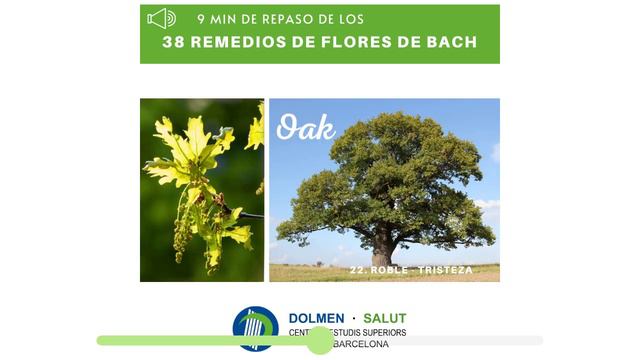 Remedios De Flores De Bach Para Las Emociones. Aplicaciones De Las 38 Flores Por Orden Alfabético