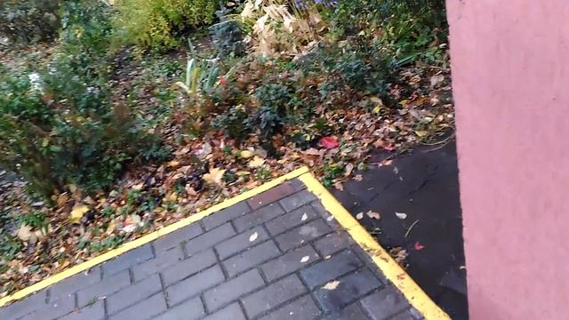 24.10.2018г. г. Балашиха. До проверки ГУ МО "ГЖИ МО" остаётся 2 часа. "РЕМОНТ" и уборка закончены. смотреть онлайн