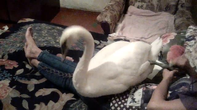 Скайна любит массаж)) смотреть онлайн