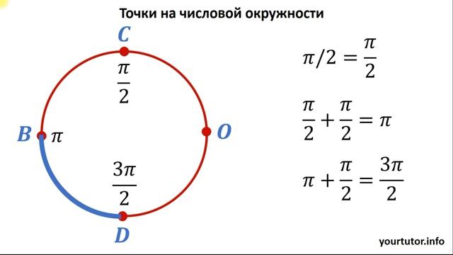 Точки на числовой окружности смотреть онлайн