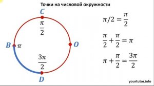 Точки на числовой окружности