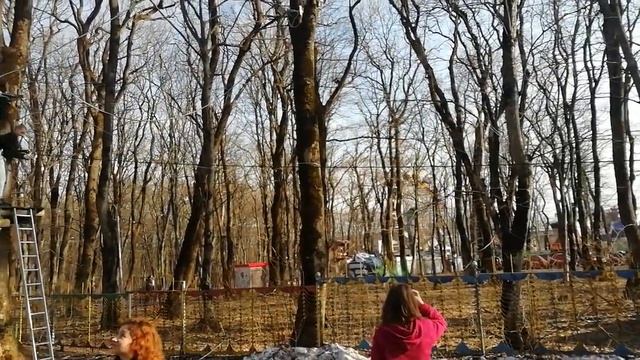 Панда-Парк, Ставрополь 2019 смотреть онлайн