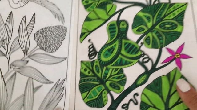 Все мои раскраски на восточную тему// ЯПОНИЯ/ КИТАЙ/ КОРЕЯ смотреть онлайн