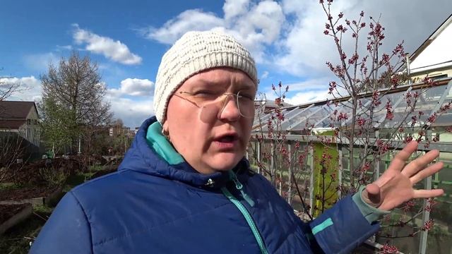 Как спасти цветущий сад при угрозе заморозков? смотреть онлайн