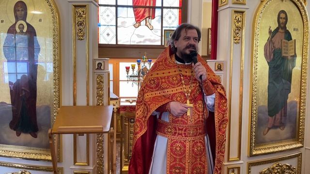 Проповедь в Неделю о слепом. Священник Владимир Чебышев смотреть онлайн