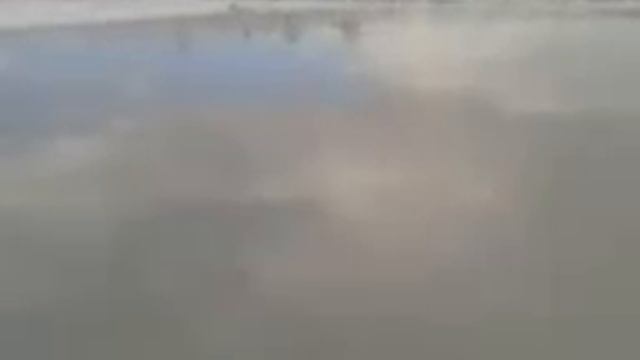 Щучка ушла( смотреть онлайн