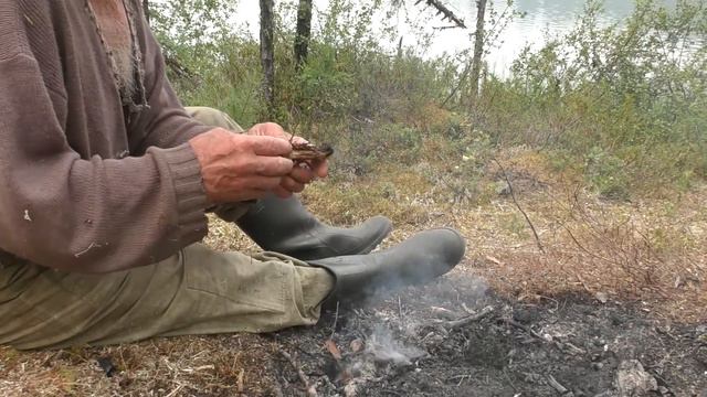 Окононские хариуза Как я запек их во мху. (эксперимент) смотреть онлайн