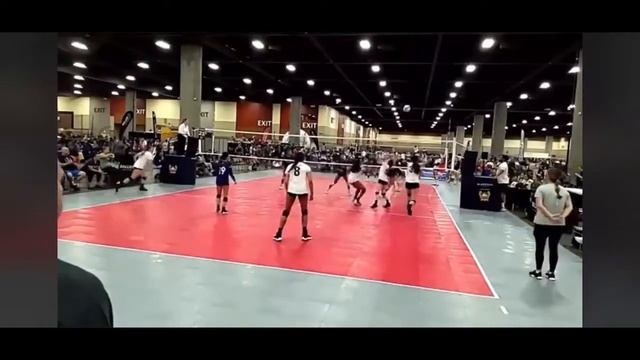 Hollis Downing 2023 #33 OPP/MB Arizona Highlights смотреть онлайн