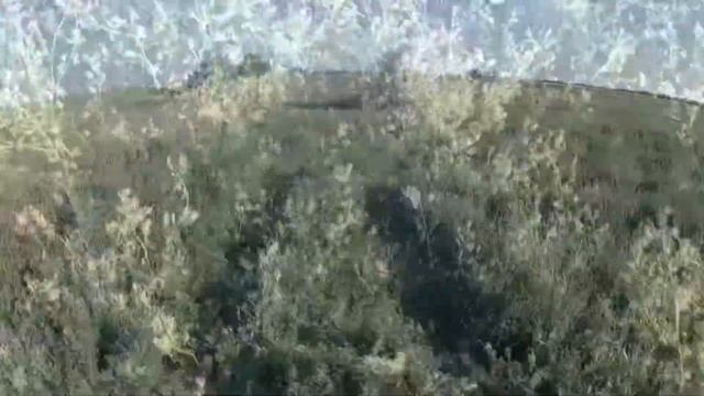 Опрыскивание люцерны инсектицидом/ Люцерна на семена/ смотреть онлайн