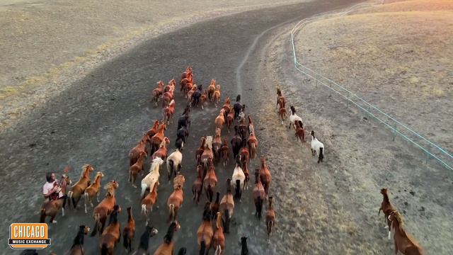Nathaniel Takes 3 Mustangs for a Ride смотреть онлайн