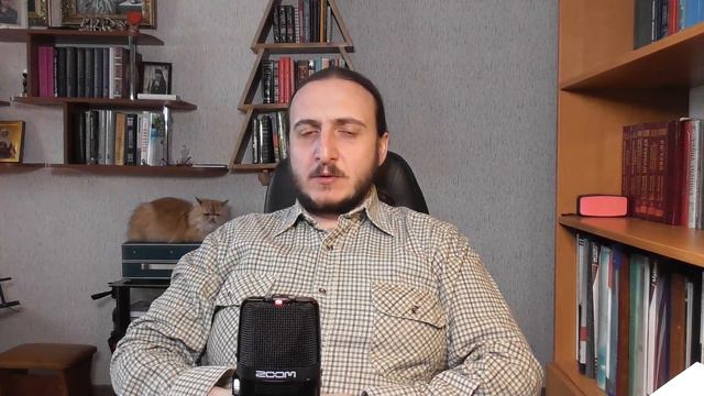 11.02.2020. Свмч. Игнатий Богоносец. Кто кого несет? смотреть онлайн