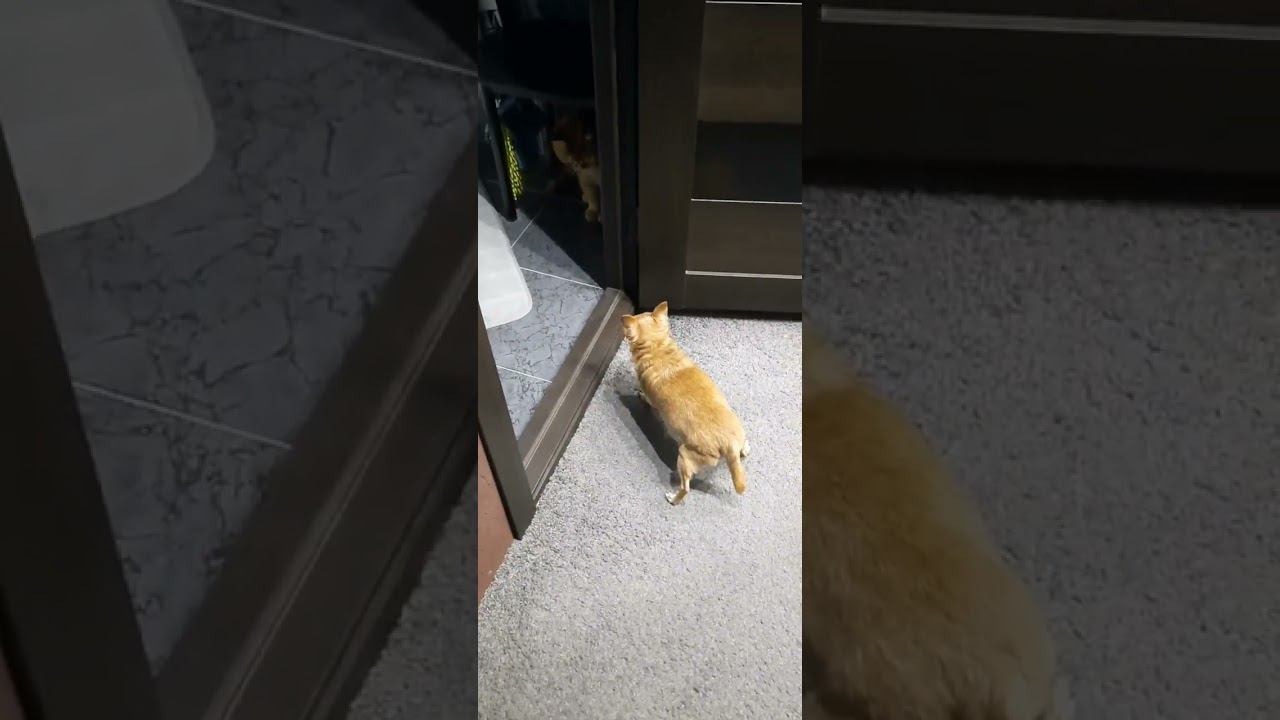 26 февраля 2024 г.