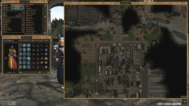 Morrowind -- 658 Wyrmhaven. The Witch! смотреть онлайн