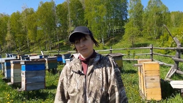 Тут делают мёд смотреть онлайн