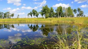 У реки на краю