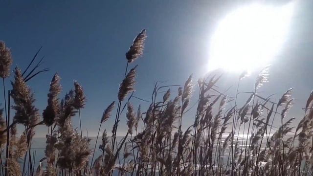 *Уникальнейшая медитация для оздоровления*Пособие для начинающих* смотреть онлайн