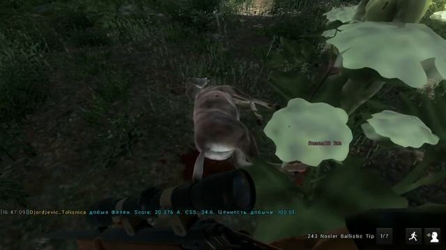 ТОП ИГРА ДЛЯ СЛАБОГО ПК | СИМУЛЯТОР ОХОТЫ С БАТЕЙ | theHunter Classic смотреть онлайн