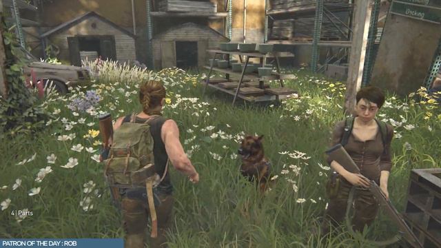 The Last of Us 2 Platinum Trophy Guide 08 / Chapter 23-27 смотреть онлайн