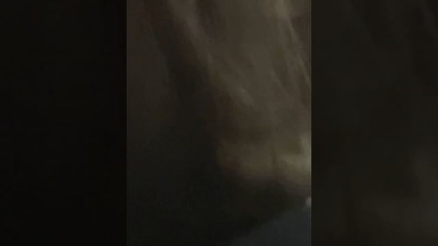 Måneskin - Touch Me / My Generation - LIVE Denver - 14.11.22