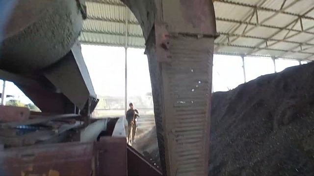 как мы подрабатываем крупноплодный подсолнечник на ОВС-25