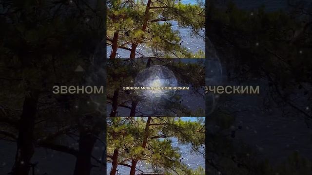Шишковидная железа. Активация Меркаба – Natanael смотреть онлайн