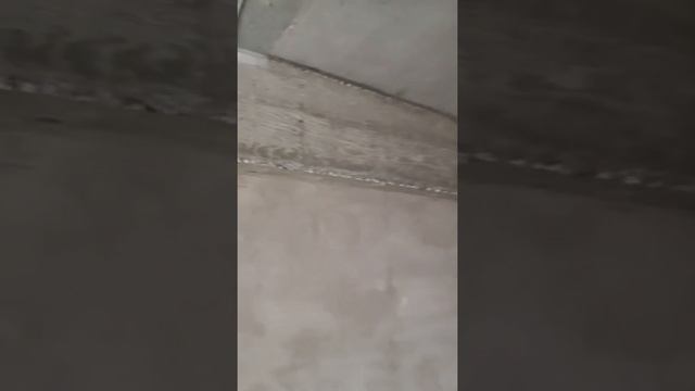 Отделка с нуля новостройка в Иркутске смотреть онлайн