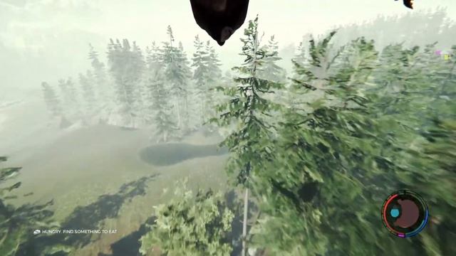 The Forest Playstation 4 Pro лагерь для полета на дельтаплане