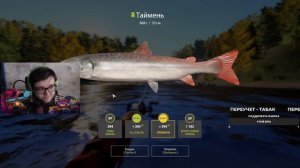 Собираю на пилкер и еду на море | Стрим РР4