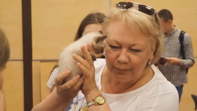 Форум "СМИ на Дону" смотреть онлайн