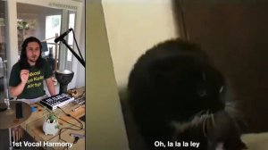 The Kiffness - Oh Long Johnson - Lalala Ley