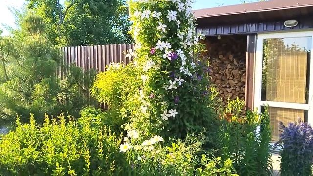 Сад - Огород 10 соток? Как я Всё Успеваю.Обычный День за Городом, с Максимальной Пользой #garden ? смотреть онлайн