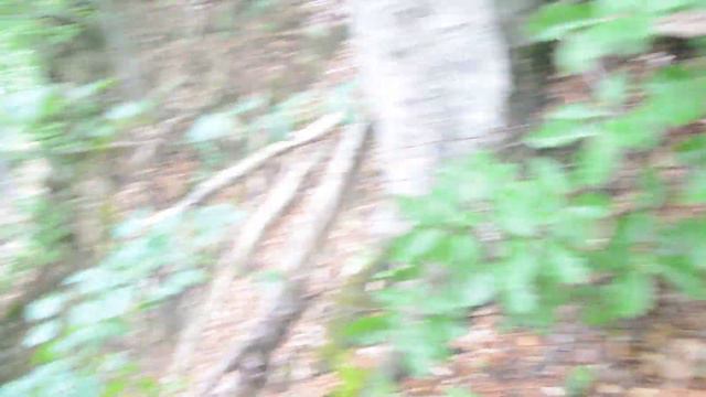 Подъём в скалы поход горы смотреть онлайн