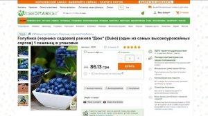 ГОЛУБИКА. ЧЕРНИКА САДОВАЯ. Самые вкусные сорта и секрет посадки! ТАЙНОКОД на скидку в Агромаркет