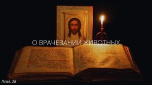 59. О врачевании животных