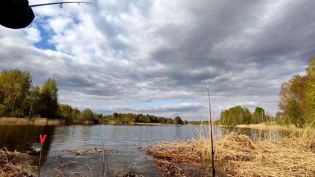 ПРЕКРАСНАЯ РЫБАЛКА НА КАРАСЯ В МАЕ 2023 ГОДА. ОТВЕЛИ ДУШУ В ПЛОХУЮ ПОГОДУ. смотреть онлайн