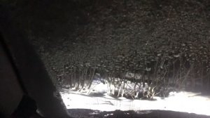 Отогрев лобового стекла за 5 минут (TOYOTA Rav4 2016)