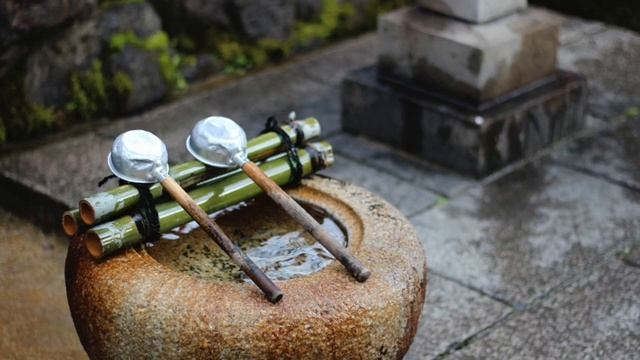 Jorge Cardoso, Thema De Milonga (guitar)