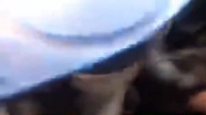 Постоянно работает вентилятор охлаждения двигателя