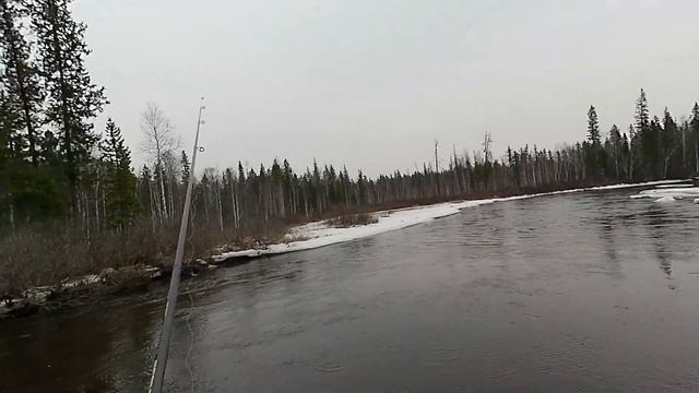 Рыбалка на речке Хаим в 2022 году. Часть 1 смотреть онлайн