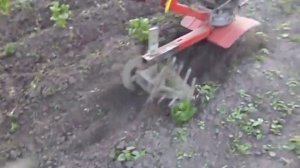 ежи на мотокультиватор тарпан