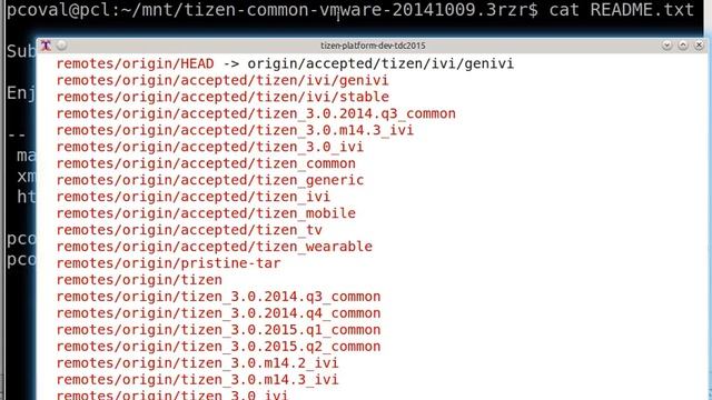 tizen-common-vmware-20141009.3rzr.ogv смотреть онлайн