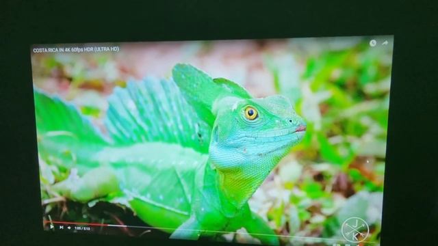 СДОХ ЛИ ДОМАШНИЙ КИНОТЕАТР С АЛИЭКСПРЕСС ЗА 2 ГОДА? Проектор Wzatco C3 смотреть онлайн